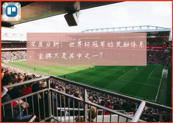 深度分析:世界杯冠军的奖励体系,金牌只是其中之一?