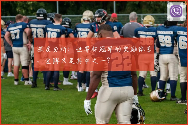 深度分析：世界杯冠军的奖励体系，金牌只是其中之一？