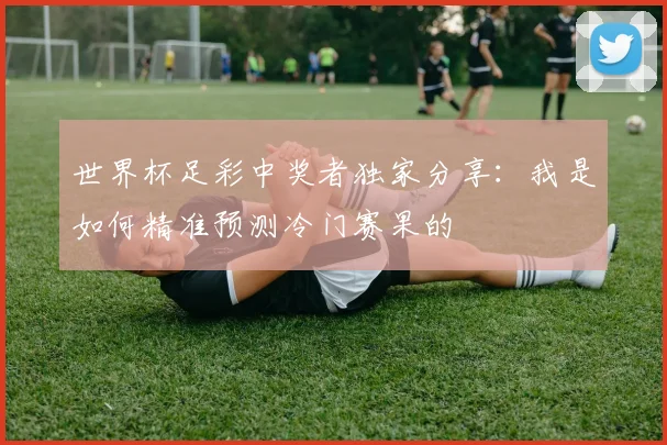 世界杯足彩中奖者独家分享:我是如何精准预测冷门赛果的