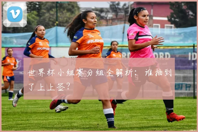 世界杯小组赛分组全解析：谁抽到了上上签？