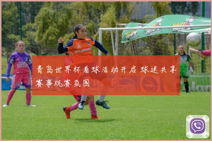 青岛世界杯看球活动开启 球迷共享赛事观赛氛围